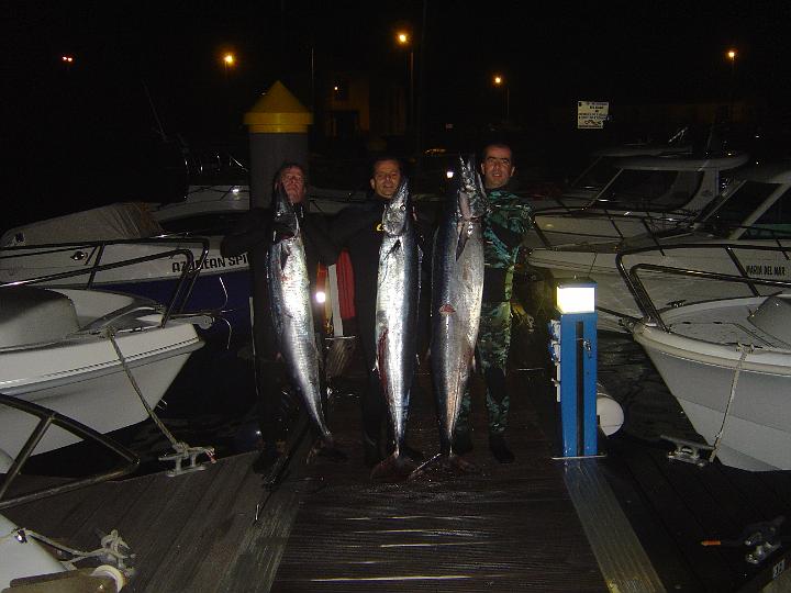 wahoo 32kg 004.jpg
